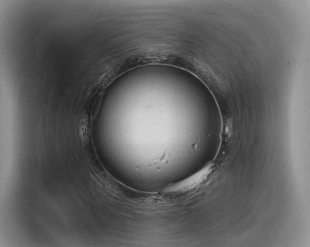 X0000115490867200911131233