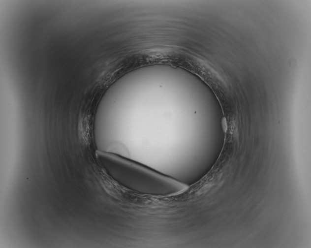 X0000115490868200911131233