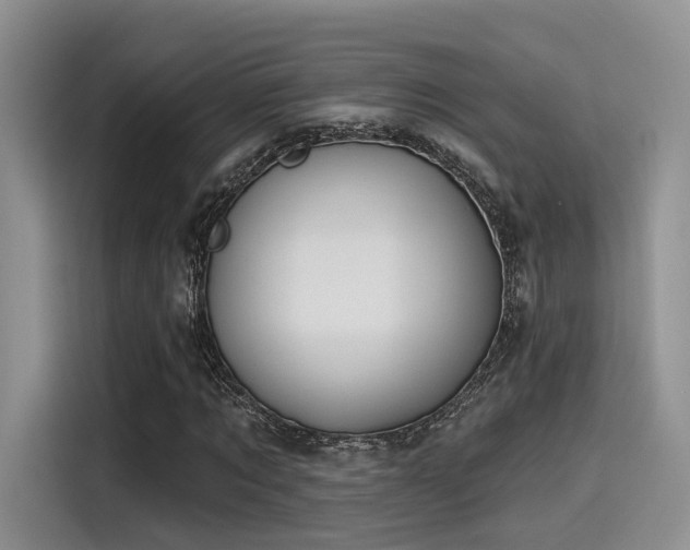 X0000115490869200911131233
