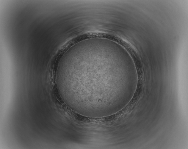 X0000115490870200911131233