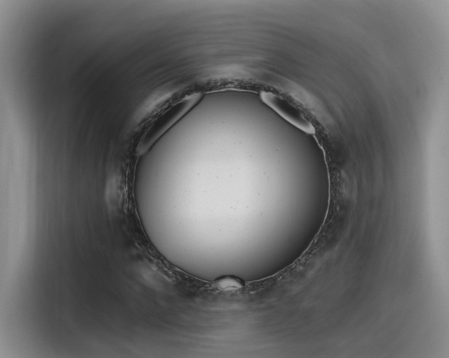 X0000115490872200911131233