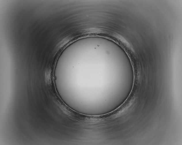 X0000115490873200911131233