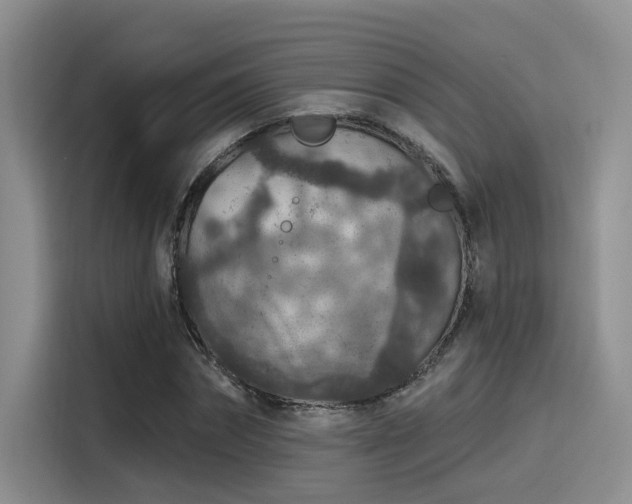 X0000115490874200911131233