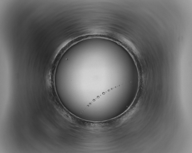 X0000115490875200911131233