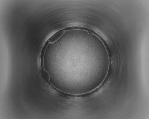 X0000115490877200911131233