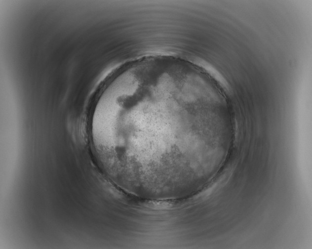 X0000115490878200911131233