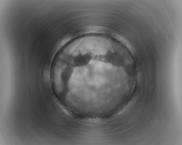 X0000115490882200911131233