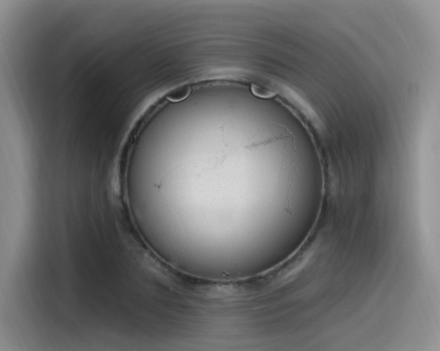 X0000115490883200911131233