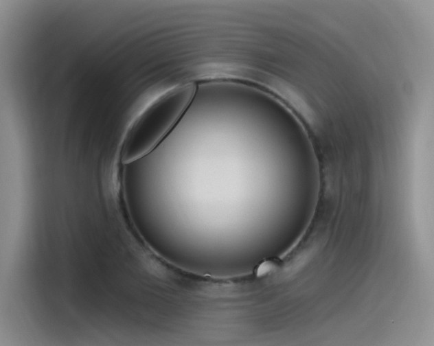 X0000115490885200911131233