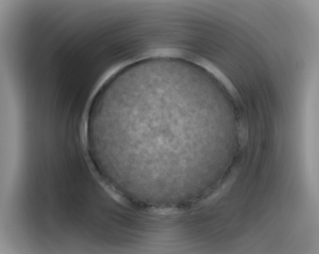 X0000115490886200911131233