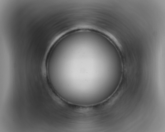 X0000115490887200911131233