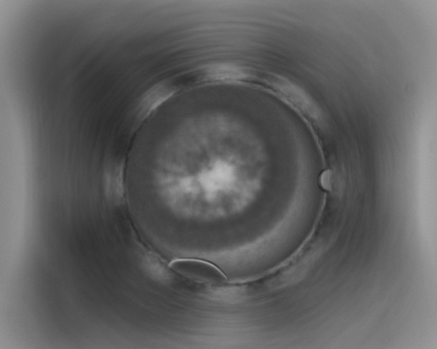 X0000115490889200911131233