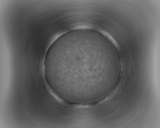 X0000115490890200911131233