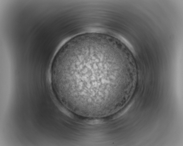 X0000115490891200911131233