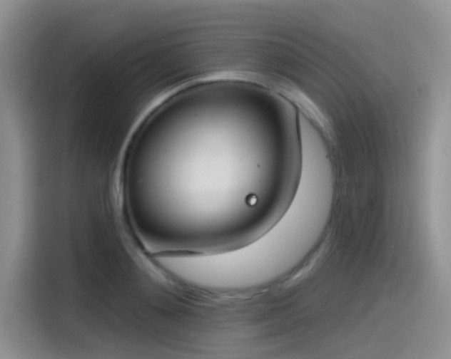 X0000115490892200911131233