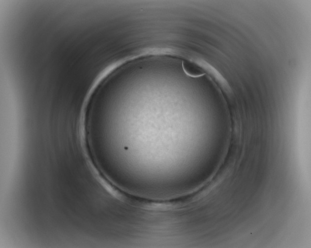 X0000115490894200911131233