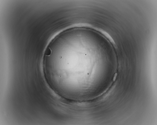X0000115490895200911131233