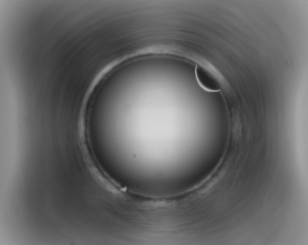 X0000115490896200911131233