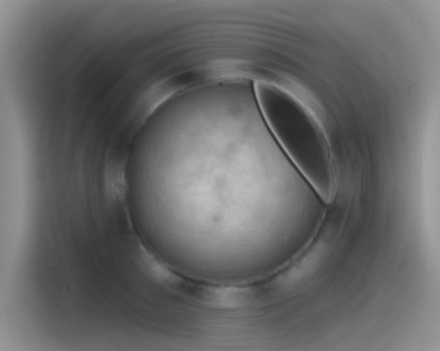 X0000115490897200911131233