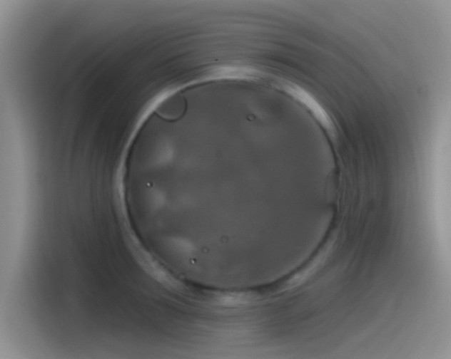 X0000115490899200911131233