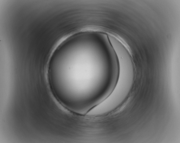 X0000115490901200911131233