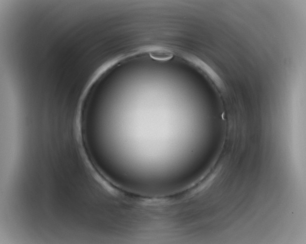 X0000115490902200911131233