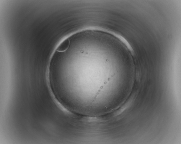 X0000115490903200911131233