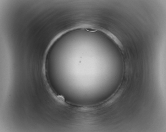 X0000115490904200911131233