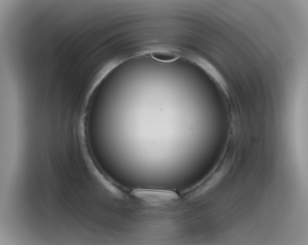 X0000115490906200911131233