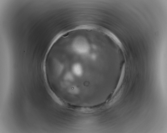 X0000115490907200911131233