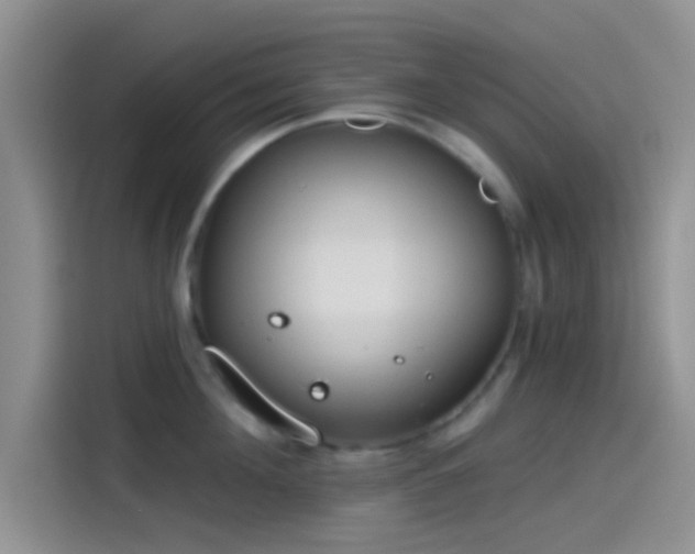 X0000115490908200911131233