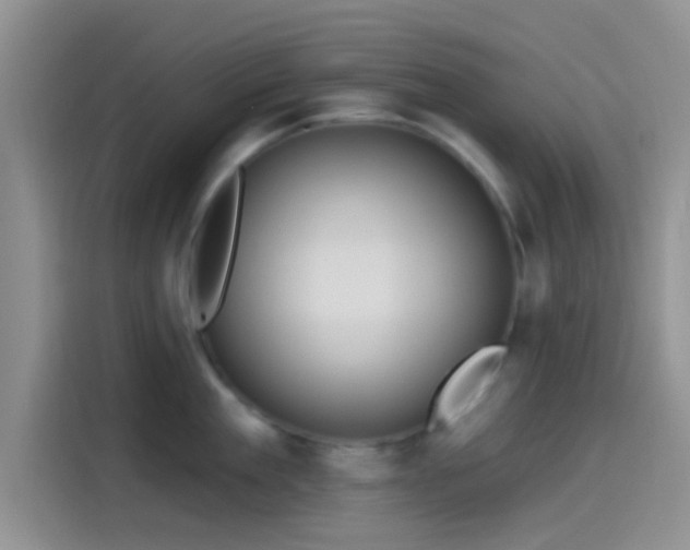 X0000115490909200911131233