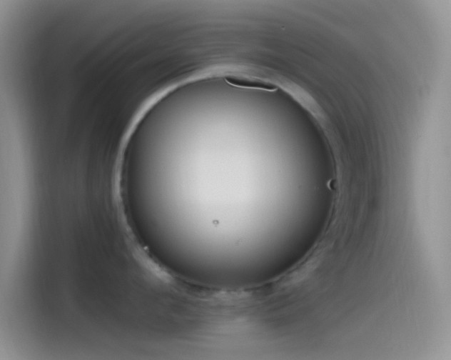 X0000115490912200911131233