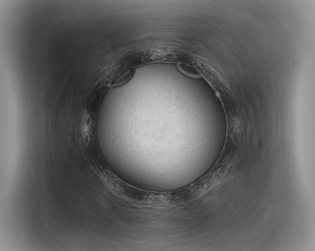 X0000115490914200911131232