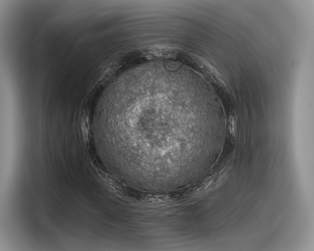X0000115490915200911131232