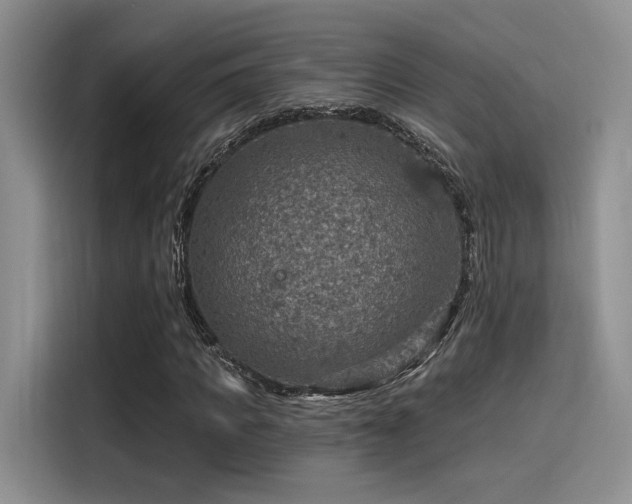 X0000115490917200911131232