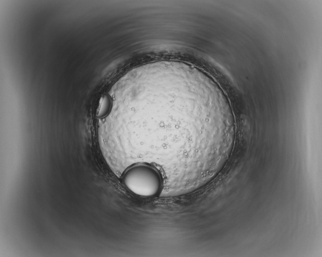 X0000115490918200911131232