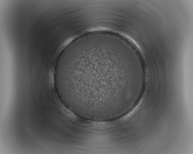 X0000115490921200911131232
