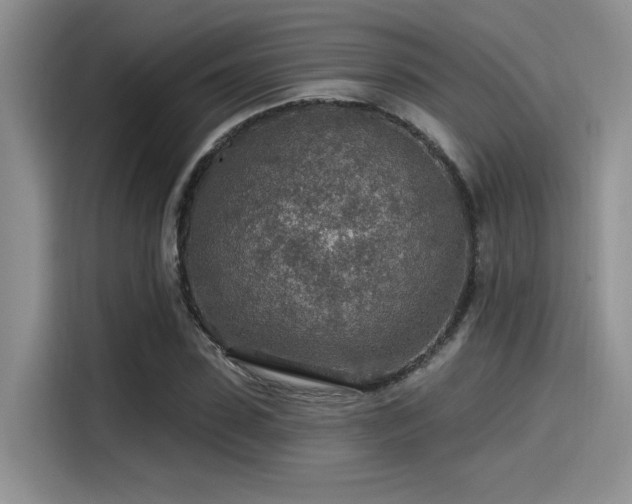 X0000115490923200911131232