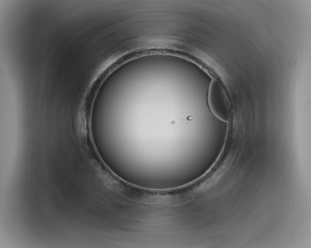 X0000115490925200911131232