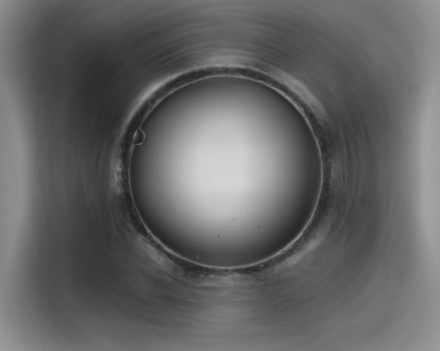 X0000115490926200911131232
