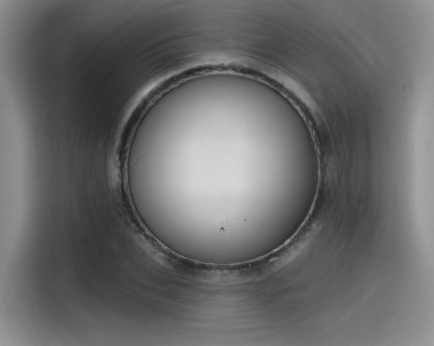 X0000115490927200911131232