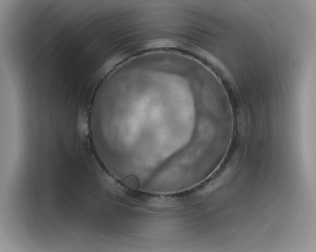 X0000115490929200911131232