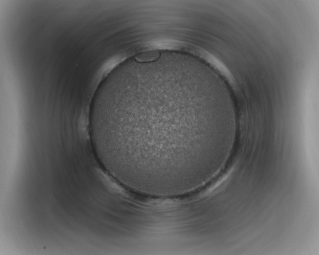 X0000115490930200911131232