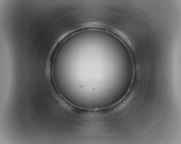 X0000115490931200911131232