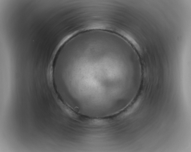 X0000115490933200911131232