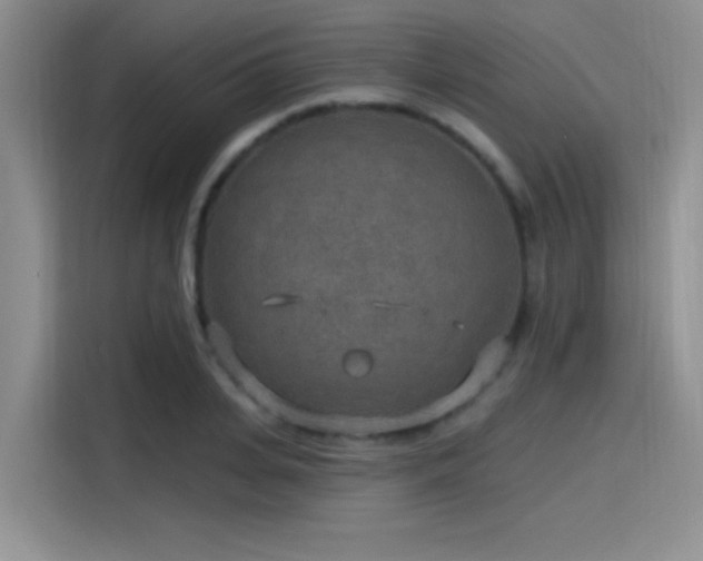 X0000115490935200911131232