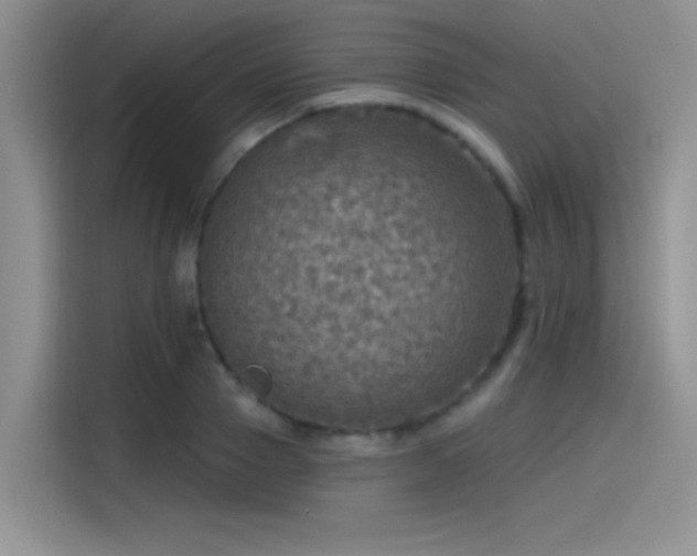 X0000115490937200911131232