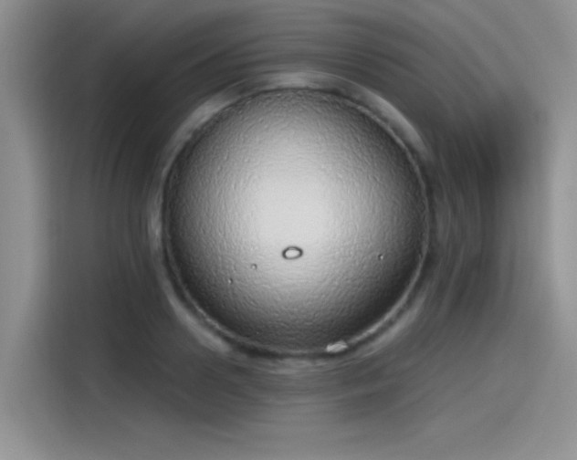 X0000115490938200911131233