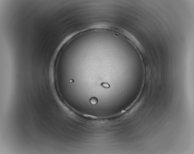 X0000115490939200911131233